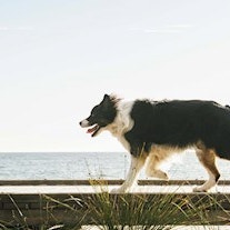 GettyImages764782281RR min