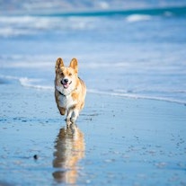 GettyImages 588980887_medium-min