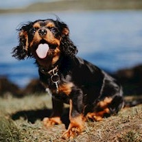 GettyImages-857069232_Petite-min