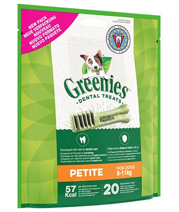 Greenies chien clearance