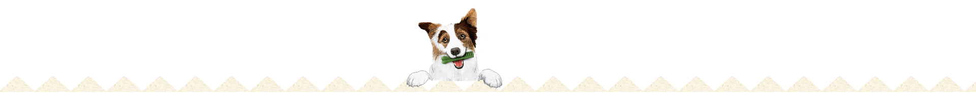 border-top-with-dog
