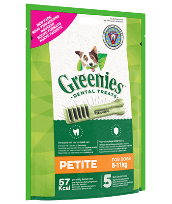 Greenies chien on sale