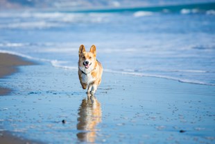 GettyImages 588980887_medium-min
