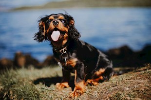 GettyImages-857069232_Petite-min