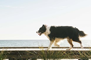 GettyImages764782281RR min